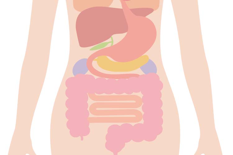 消化器内科について